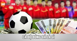 Cá Độ Bóng Đá Là Gì
