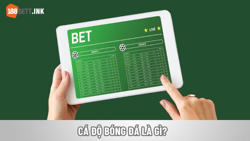 Giải thích cá độ bóng đá là gì?