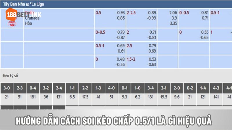 Hướng dẫn cách soi kèo chấp 0.5/1 là gì hiệu quả